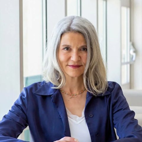 Mona Sabet, SVP Strategy, Programs and Operations, AFS